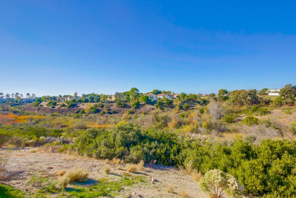 Virtual tour photo 56 of 55 for 13188 Dufresne Pl