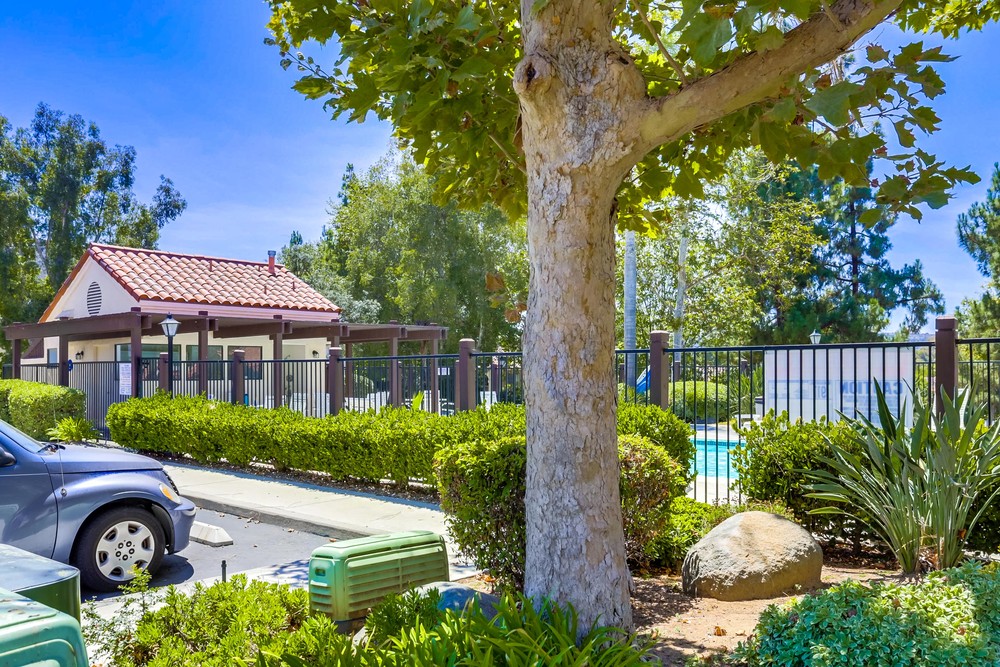 Virtual tour photo 36 of 35 for 13216 Wimberly Square UNIT 179