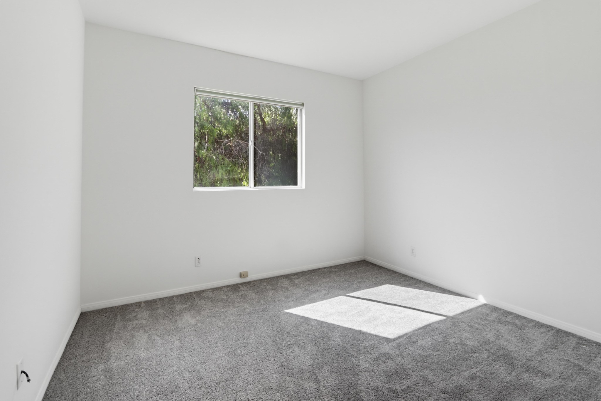 Virtual tour photo 38 of 58 for 1324 Silverado Dr