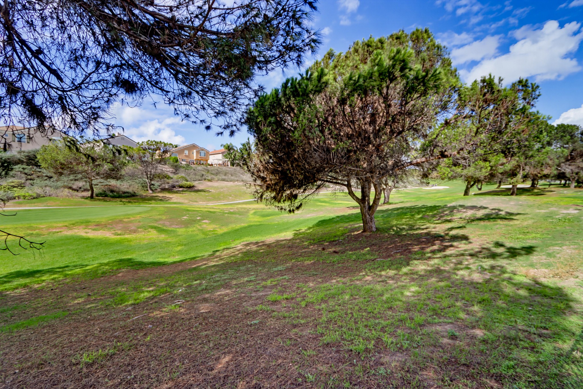 Virtual tour photo 57 of 58 for 1324 Silverado Dr