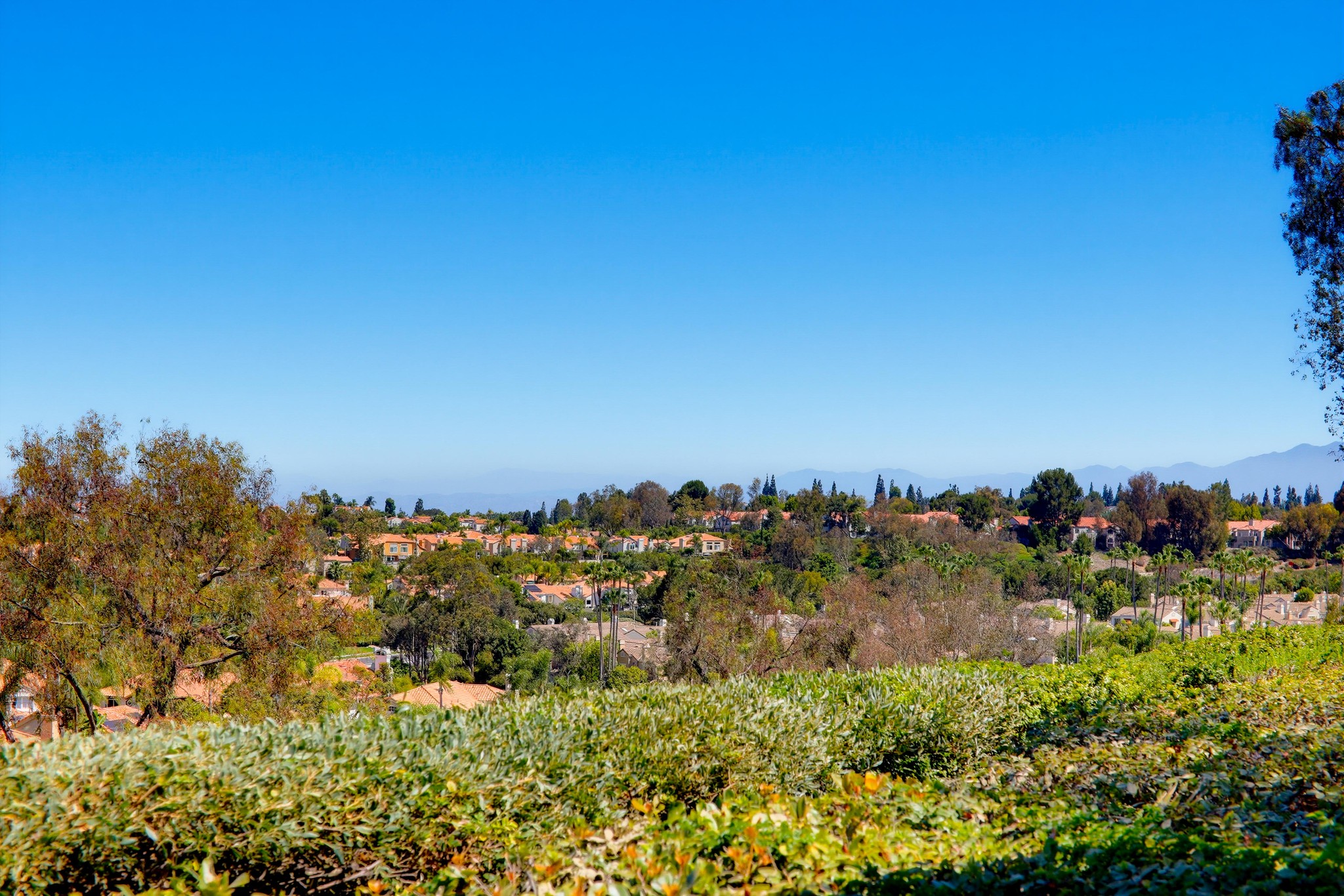 Virtual tour photo 6 of 60 for 133 Fleurance St