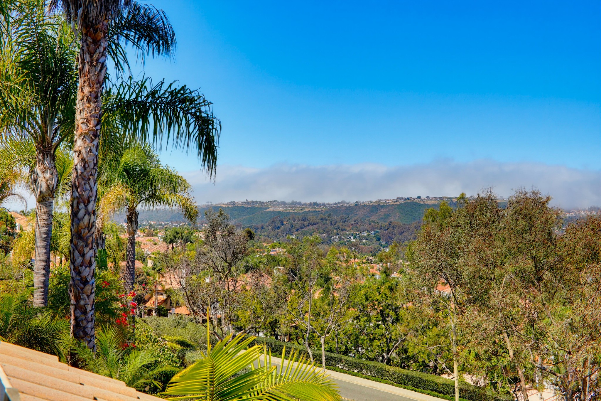 Virtual tour photo 14 of 60 for 133 Fleurance St