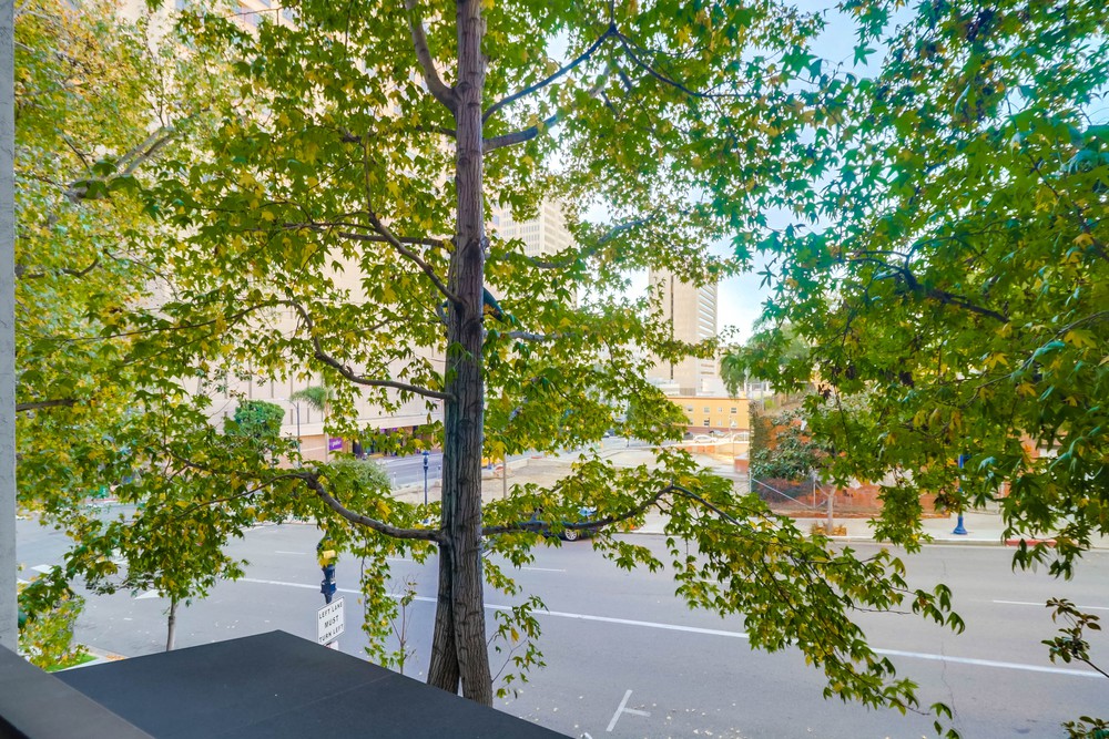 Virtual tour photo 26 of 25 for 1333 Eighth Ave