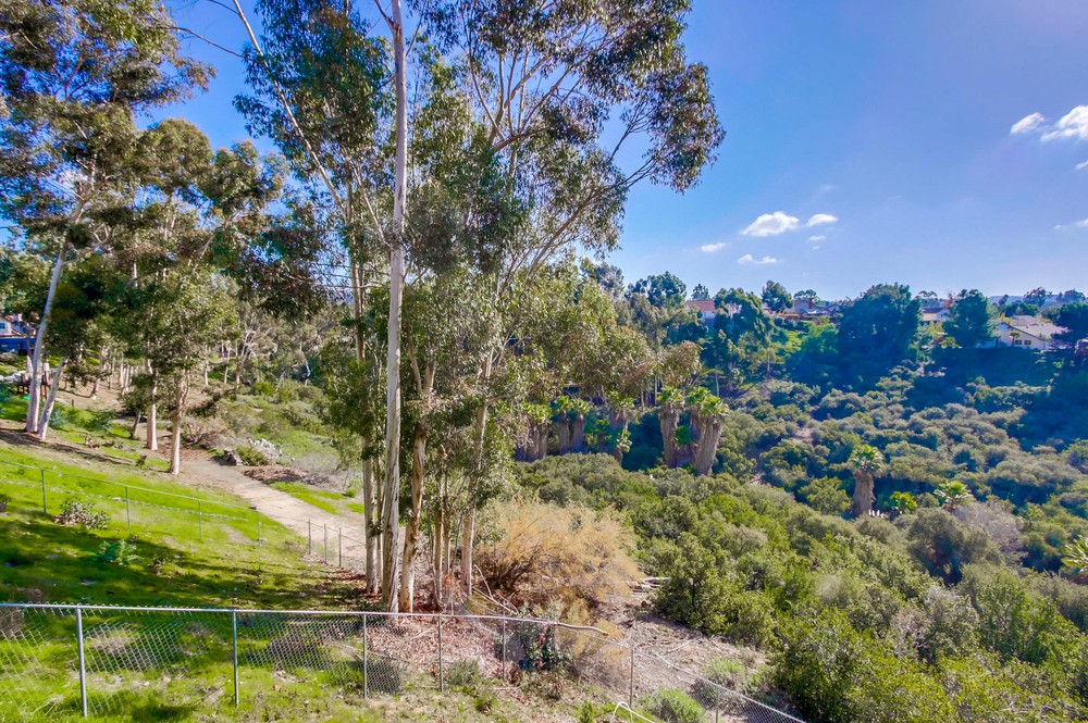 Virtual tour photo 61 of 60 for 13383 Bavarian Dr