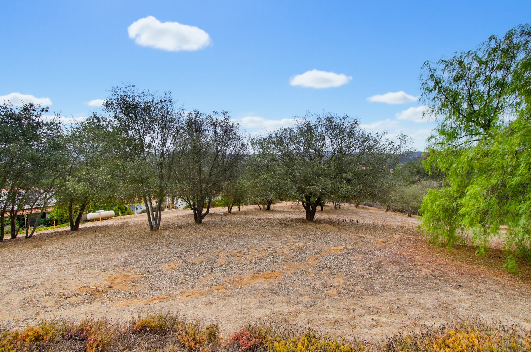 Virtual tour photo 65 of 78 for 13427 Hilltop Pl