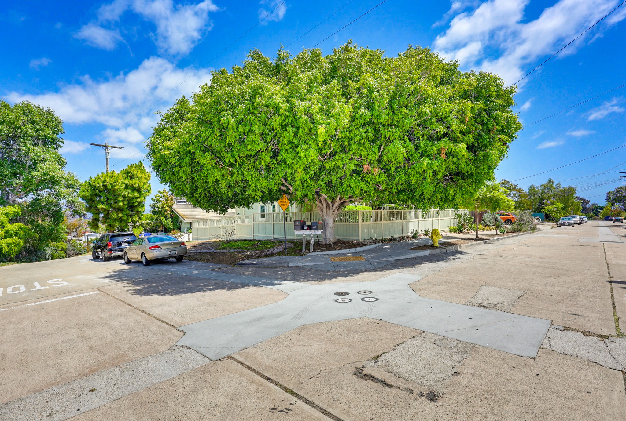 Virtual tour photo 72 of 73 for 1353 Edgemont St