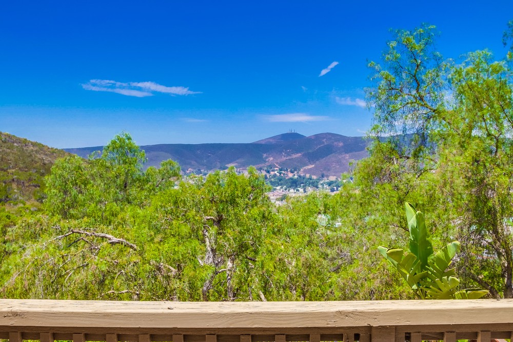 Virtual tour photo 57 of 88 for 13562 Grosse Point