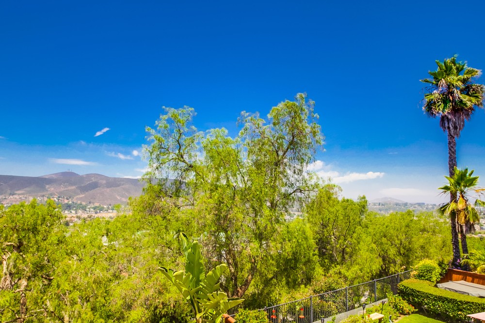 Virtual tour photo 59 of 88 for 13562 Grosse Point