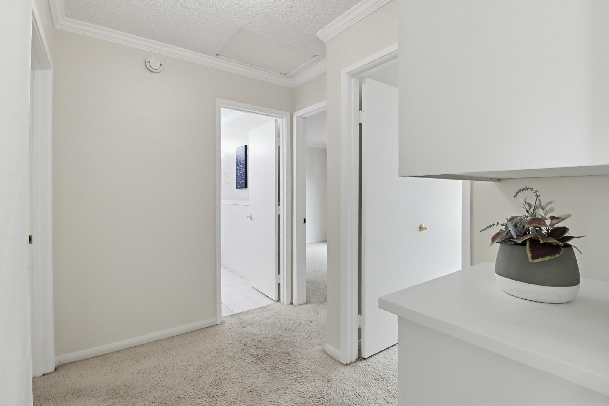 Virtual tour photo 26 of 63 for 1362 Saddleview Ct