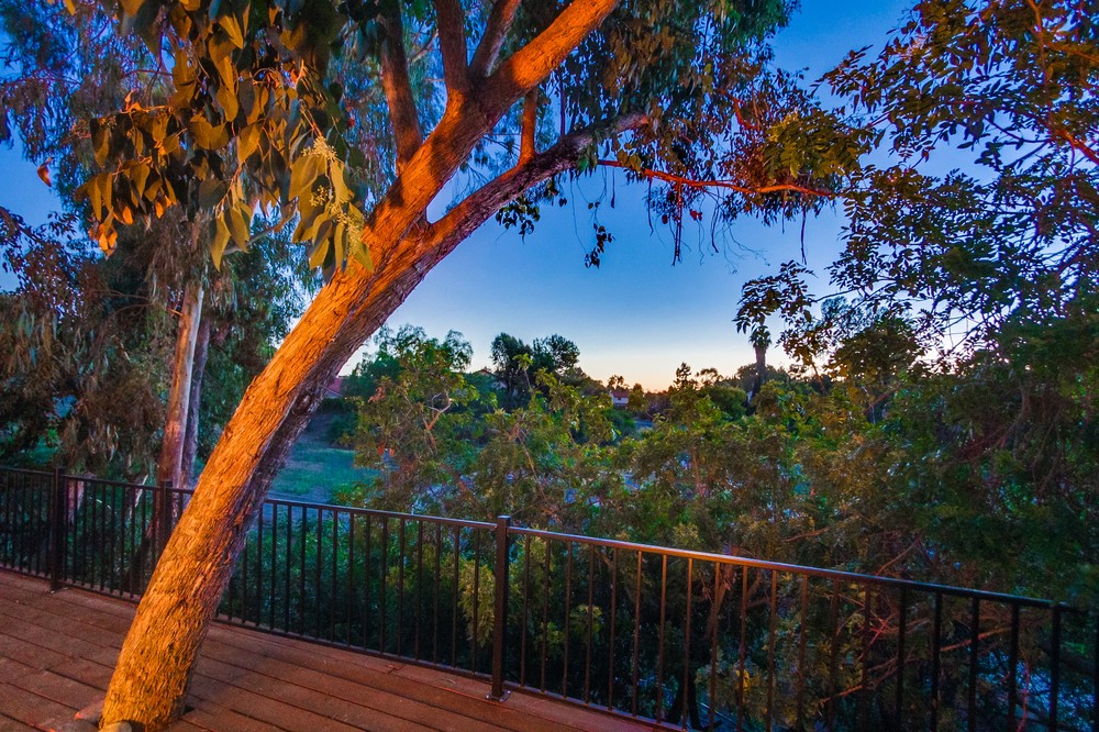 Virtual tour photo 11 of 67 for 13796 Via Cima Bella