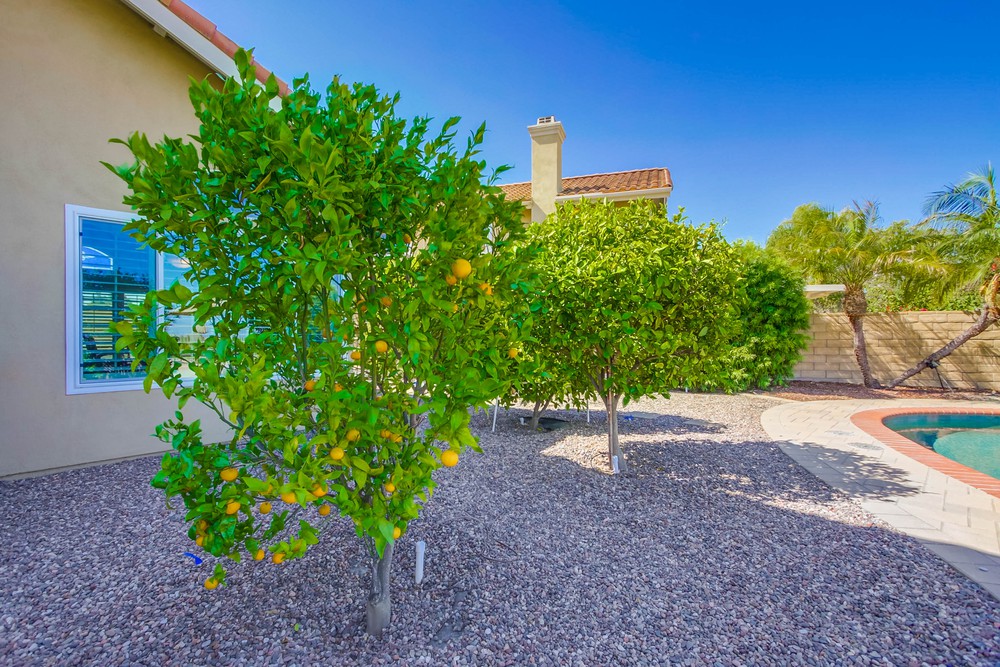 Virtual tour photo 101 of 125 for 13920 Cayucos Ct