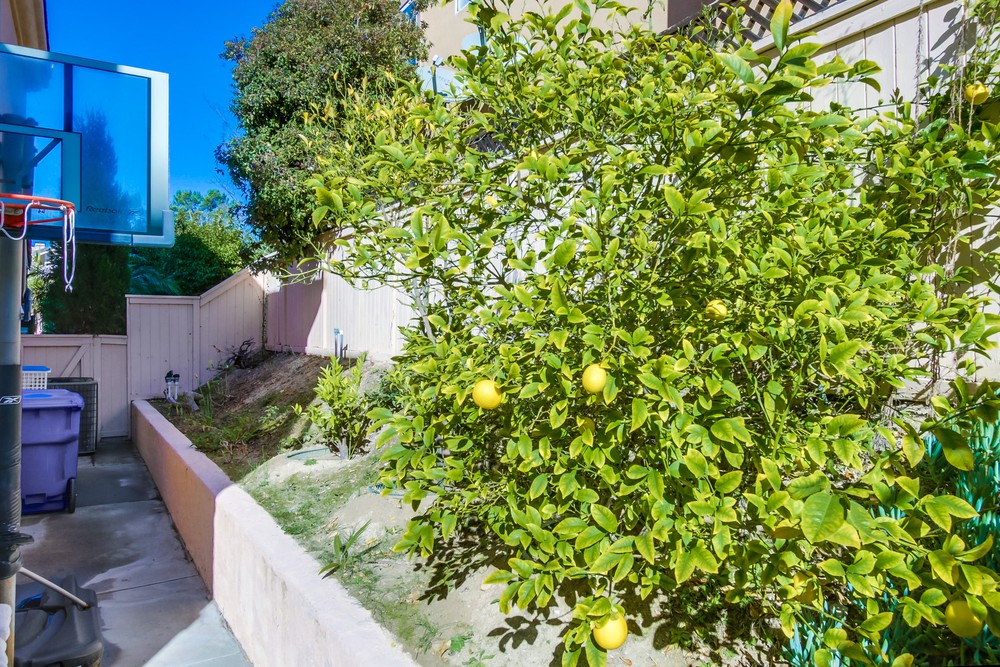 Virtual tour photo 50 of 49 for 13933 Carmel Ridge Rd