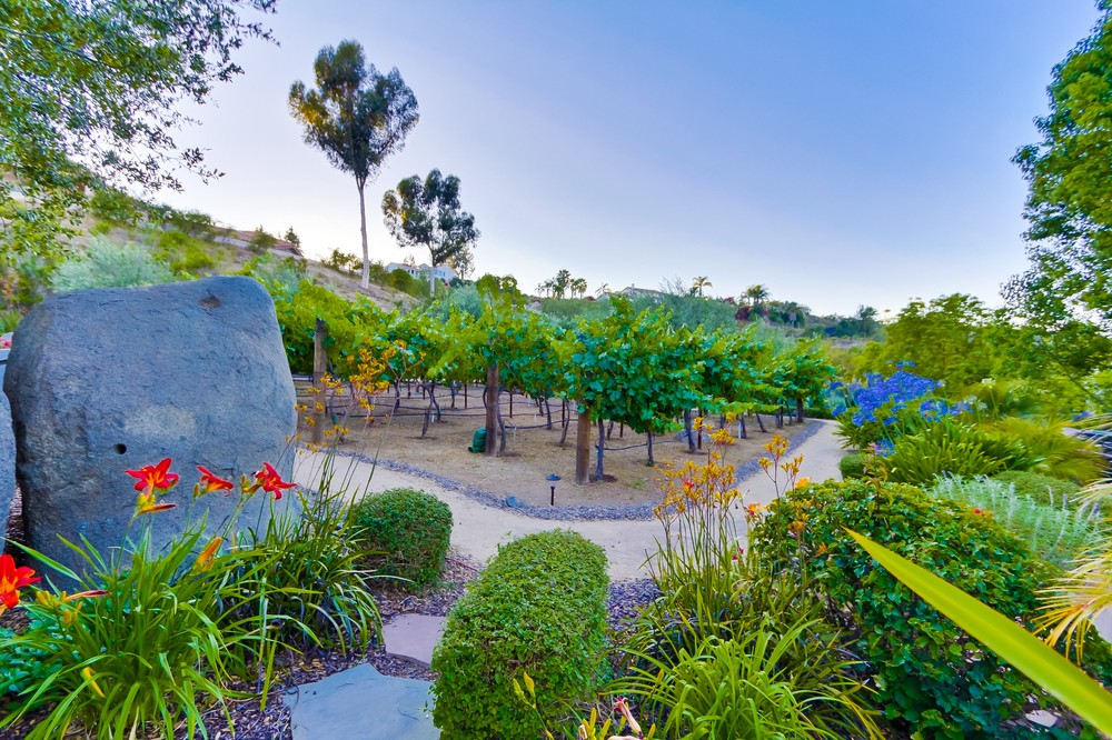Virtual tour photo 49 of 63 for 14014 Lake Poway
