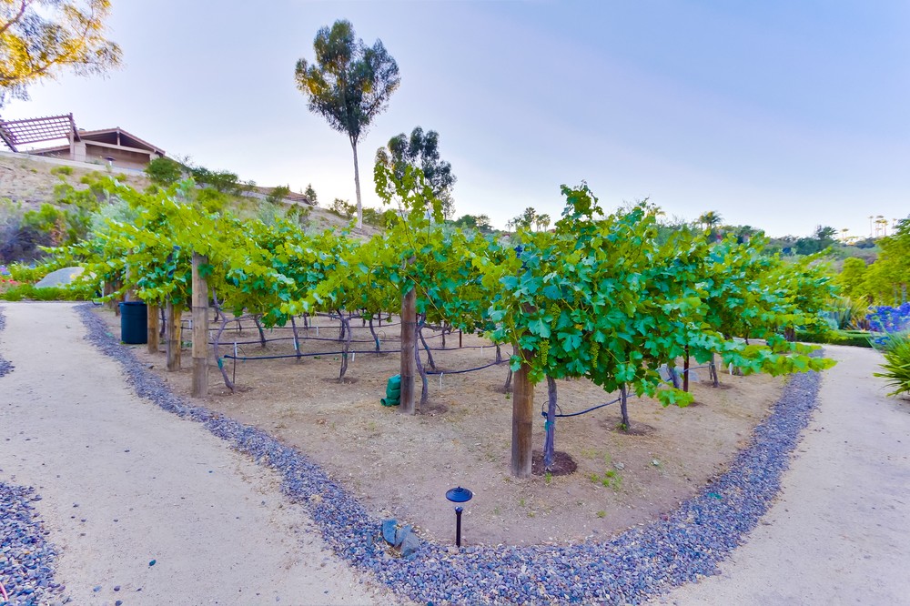 Virtual tour photo 50 of 63 for 14014 Lake Poway