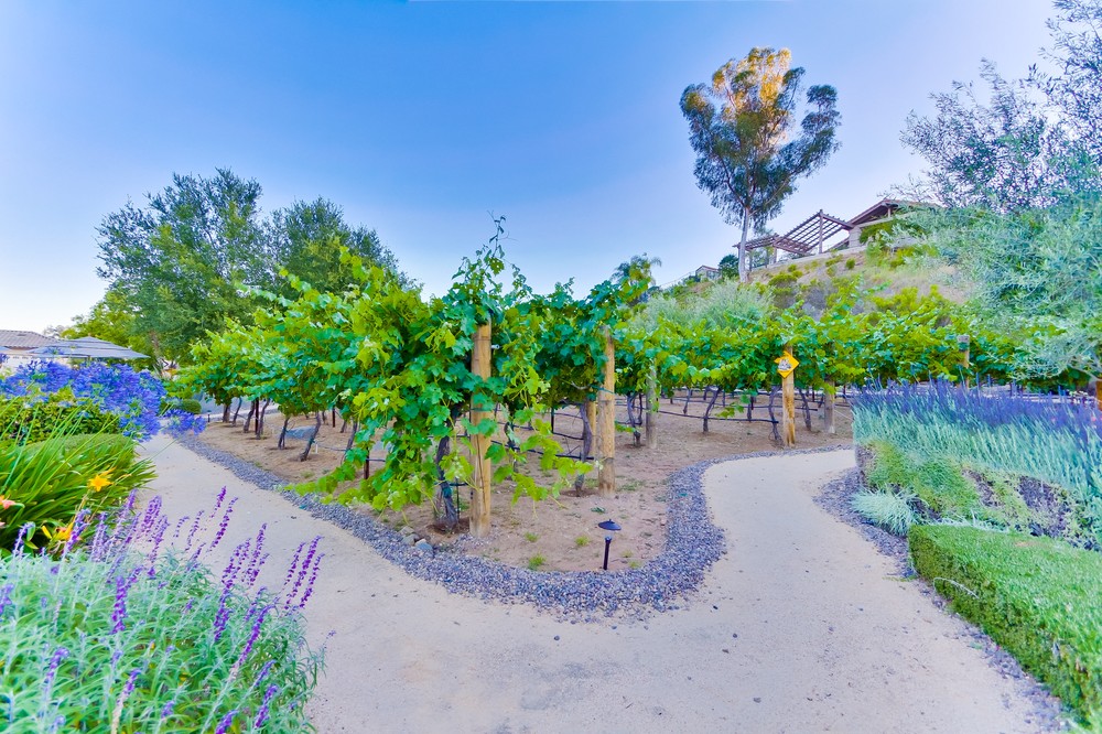 Virtual tour photo 51 of 63 for 14014 Lake Poway
