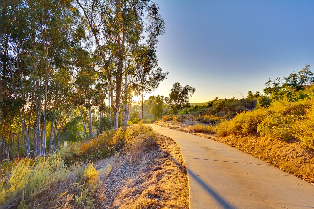 Virtual tour photo 6 of 110 for 14062 Jamacha Hills Rd