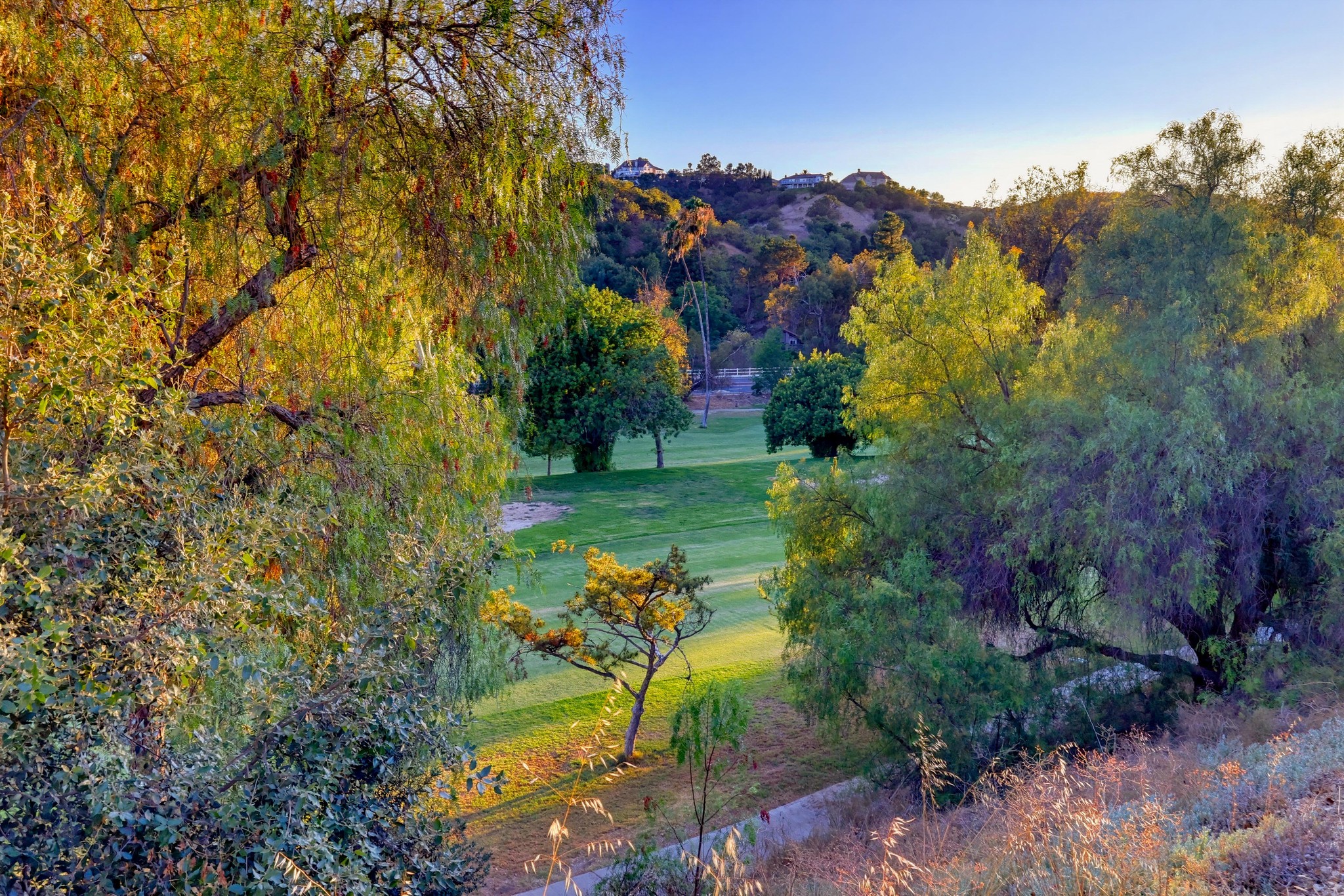 Virtual tour photo 88 of 93 for 1416 Cll Pajaros