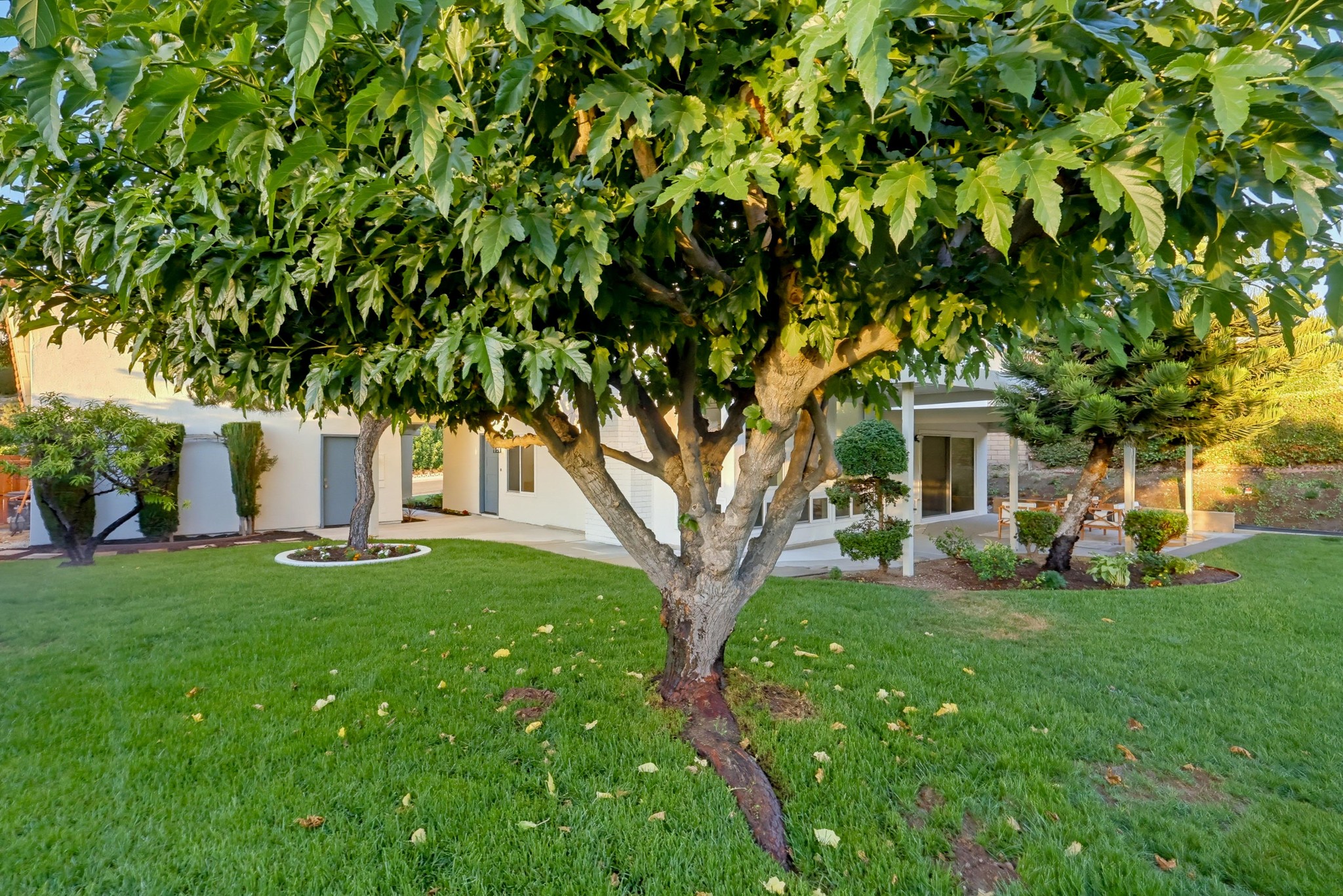 Virtual tour photo 89 of 93 for 1416 Cll Pajaros