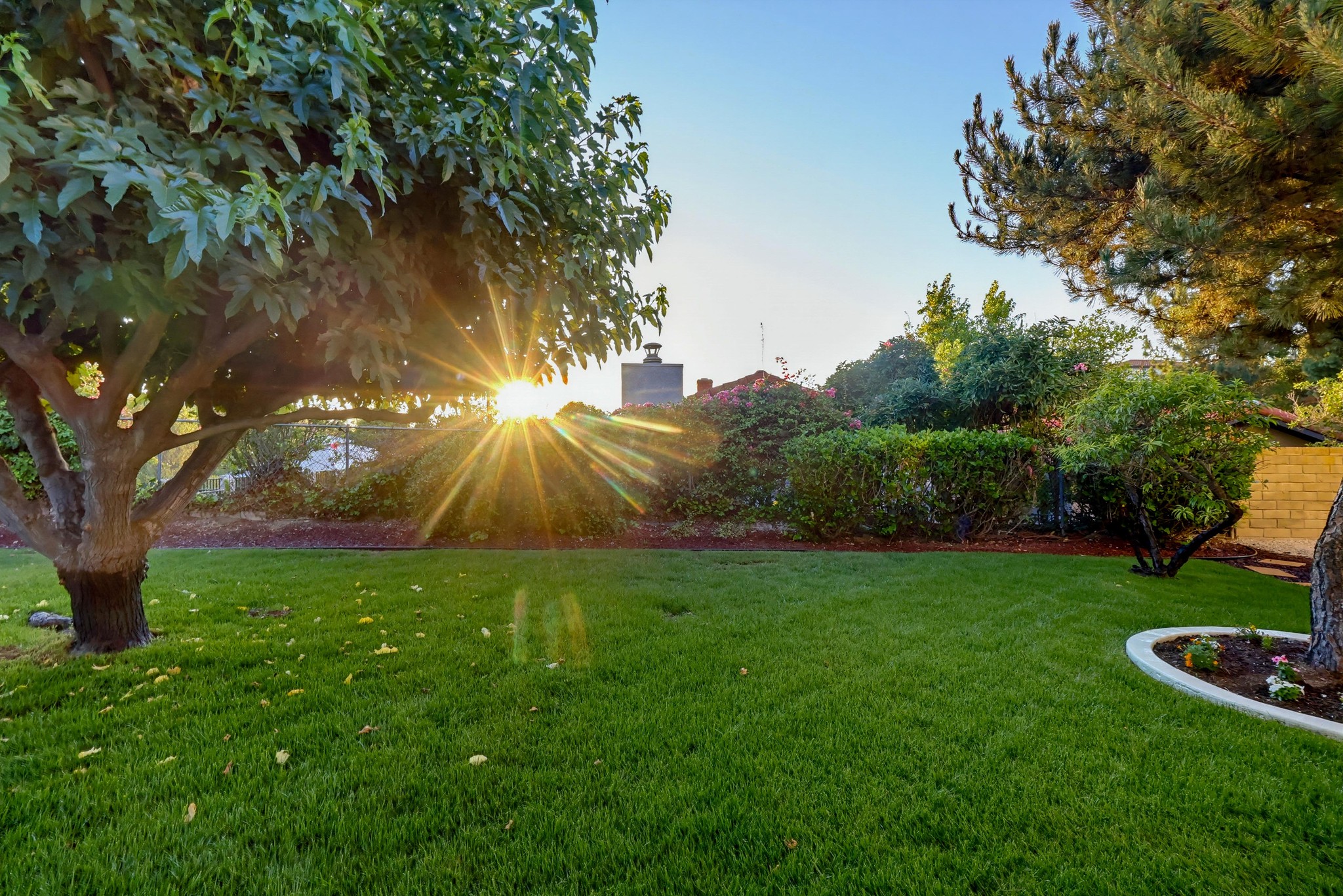 Virtual tour photo 93 of 93 for 1416 Cll Pajaros