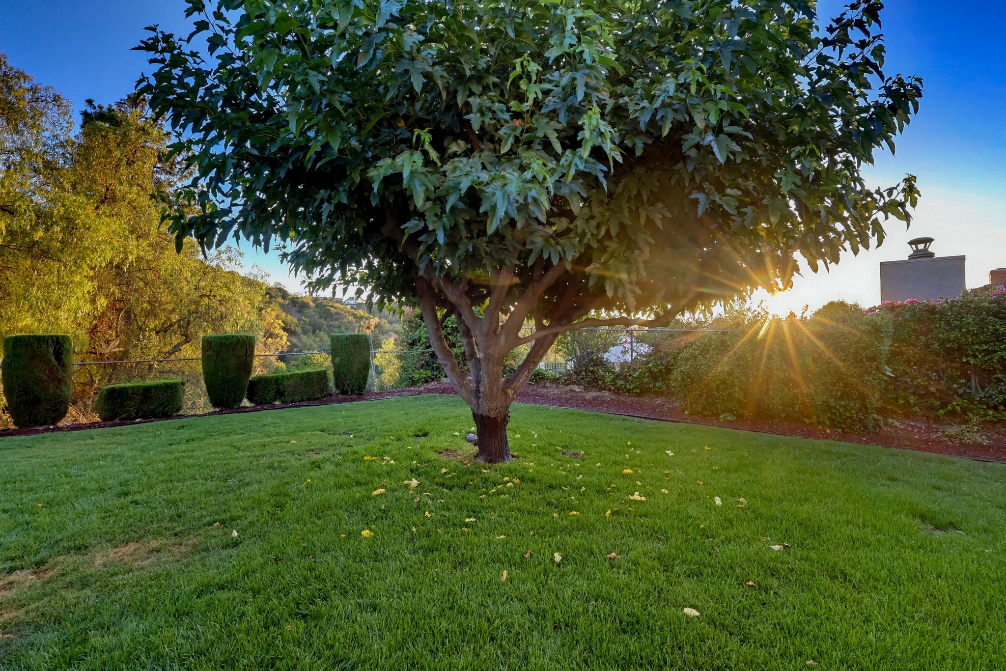 Virtual tour photo 94 of 93 for 1416 Cll Pajaros