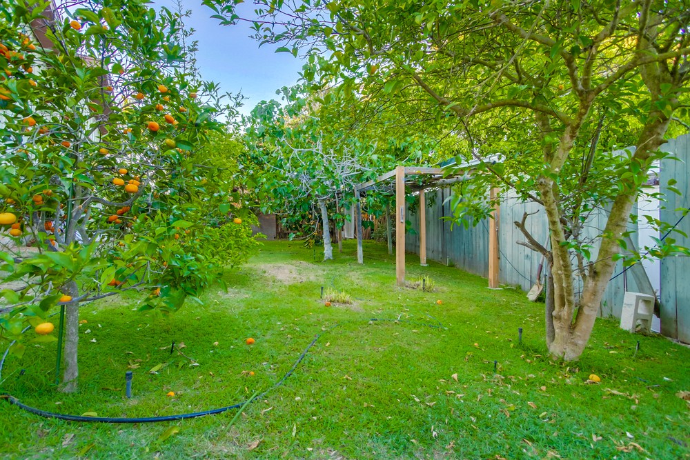 Virtual tour photo 144 of 145 for 1423 Savoy Cir