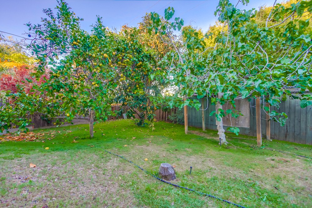 Virtual tour photo 145 of 145 for 1423 Savoy Cir