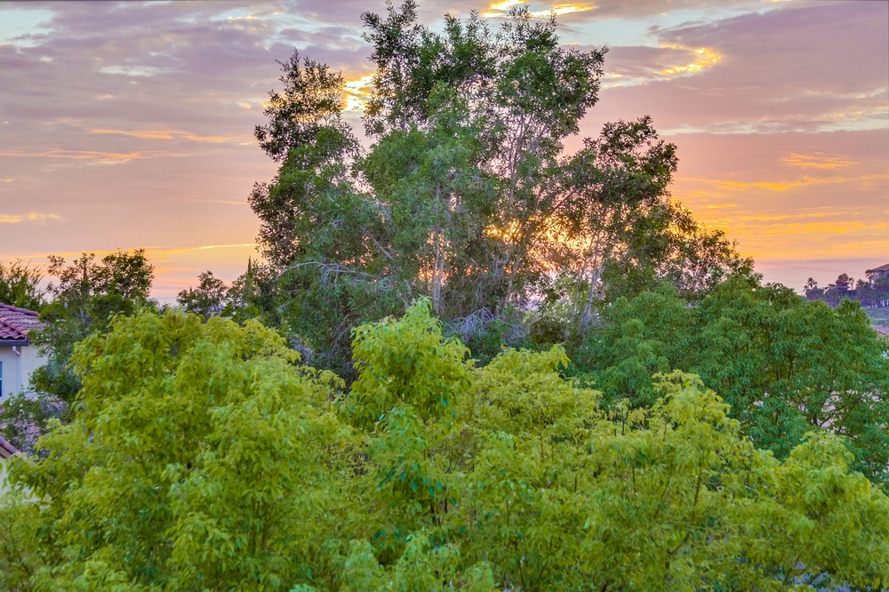 Virtual tour photo 59 of 89 for 14623 Via Bettona