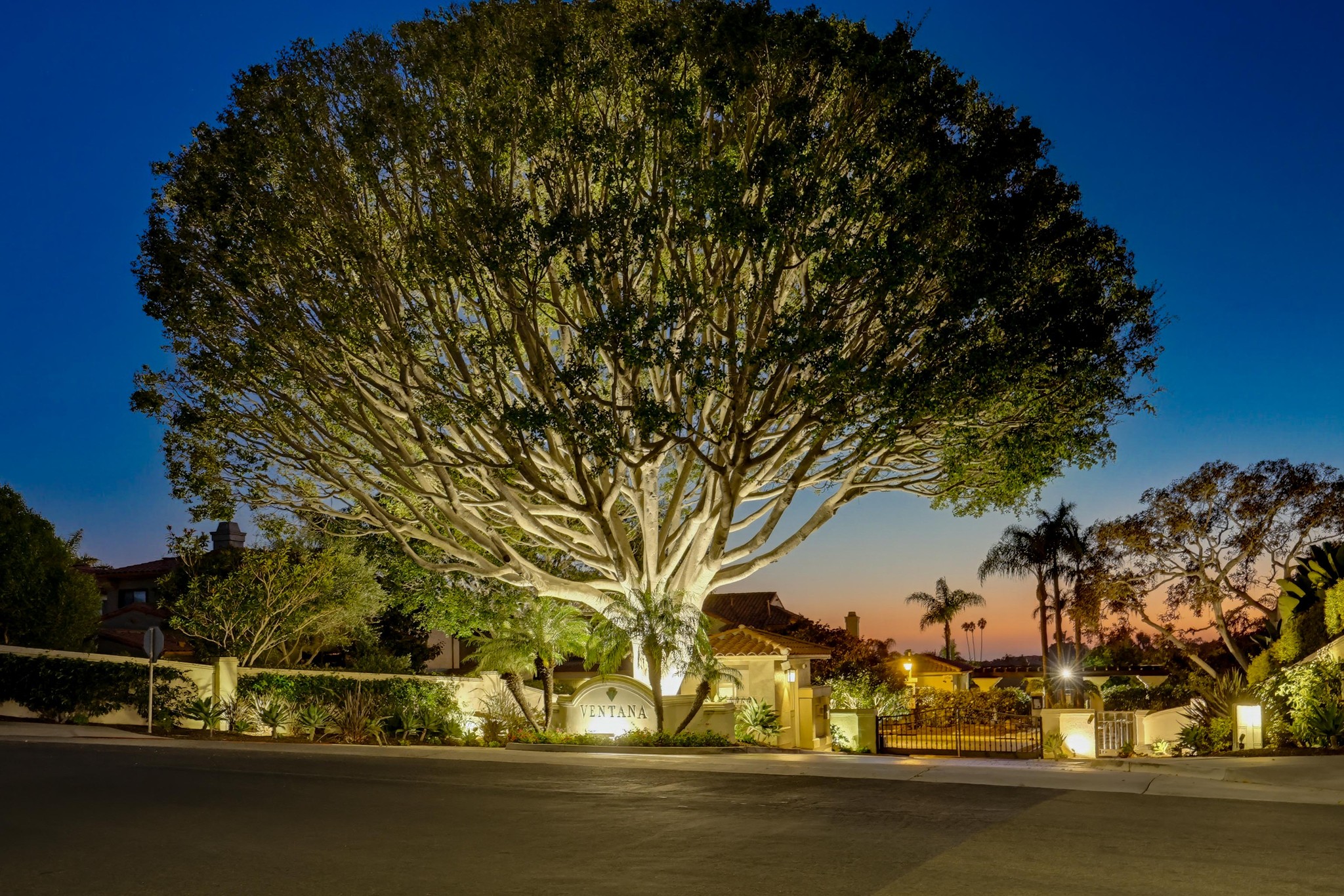 Virtual tour photo 89 of 89 for 1465 Caminito Solidago