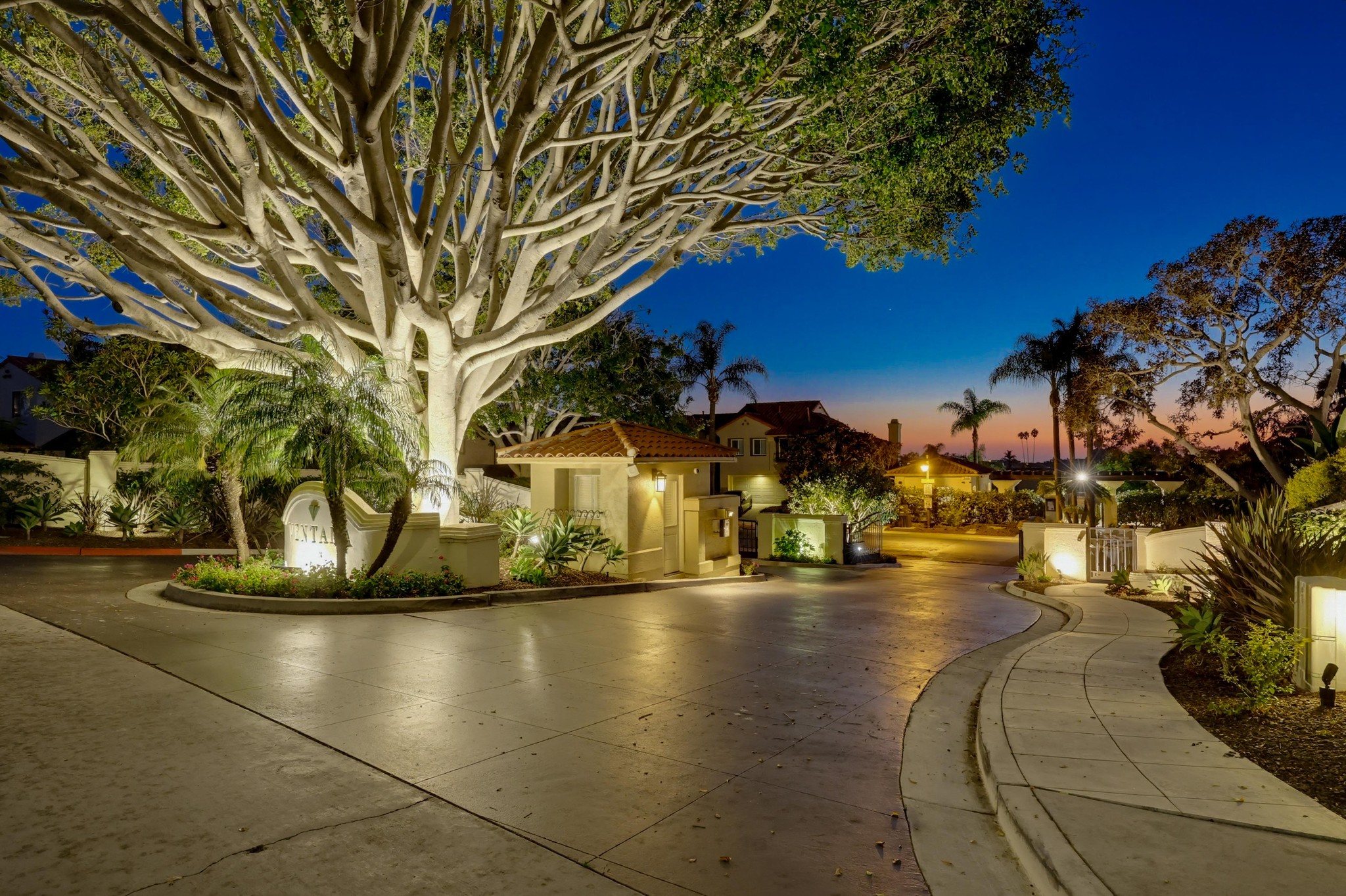 Virtual tour photo 90 of 89 for 1465 Caminito Solidago