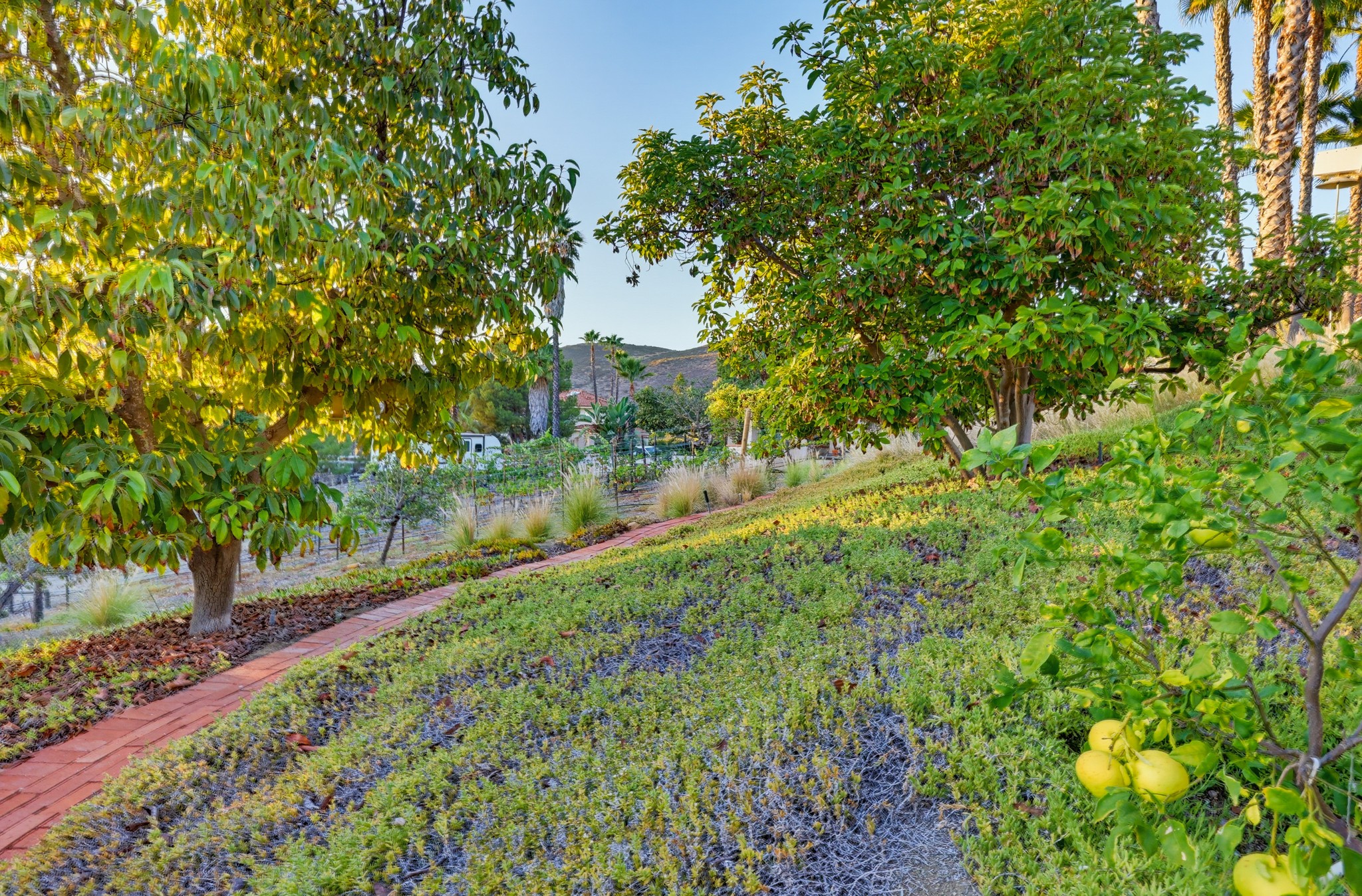 Virtual tour photo 139 of 154 for 14697 Hidden Wood Rd