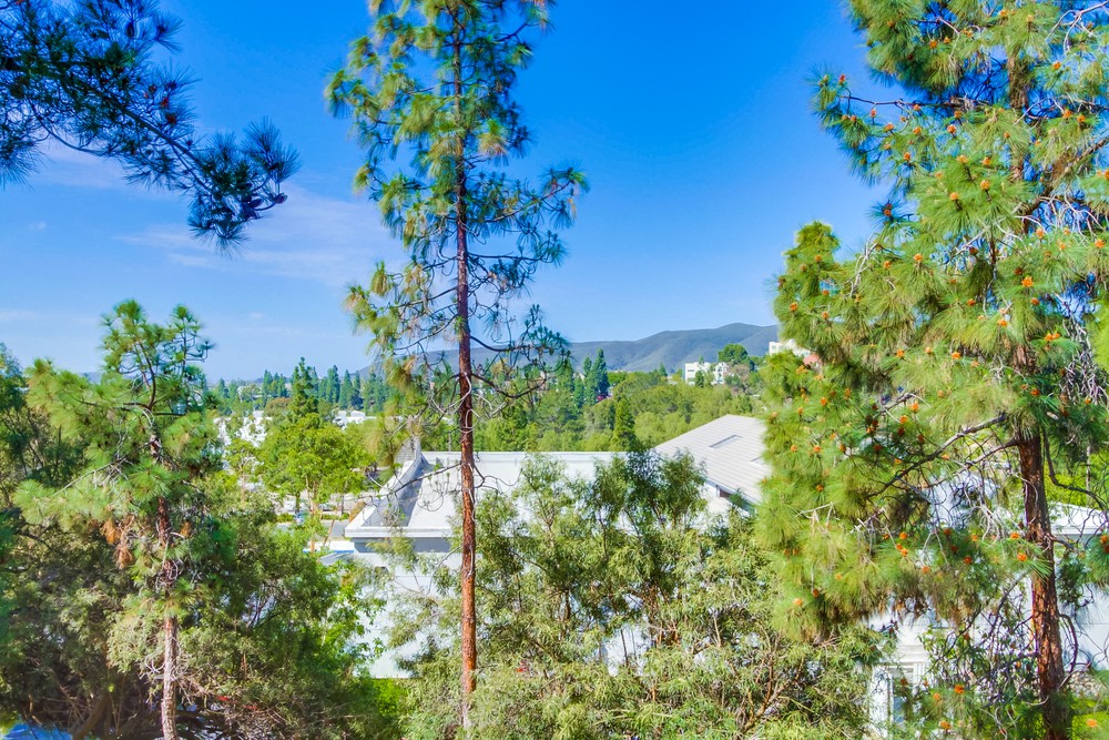 Virtual tour photo 31 of 44 for 14960 Avenida Venusto