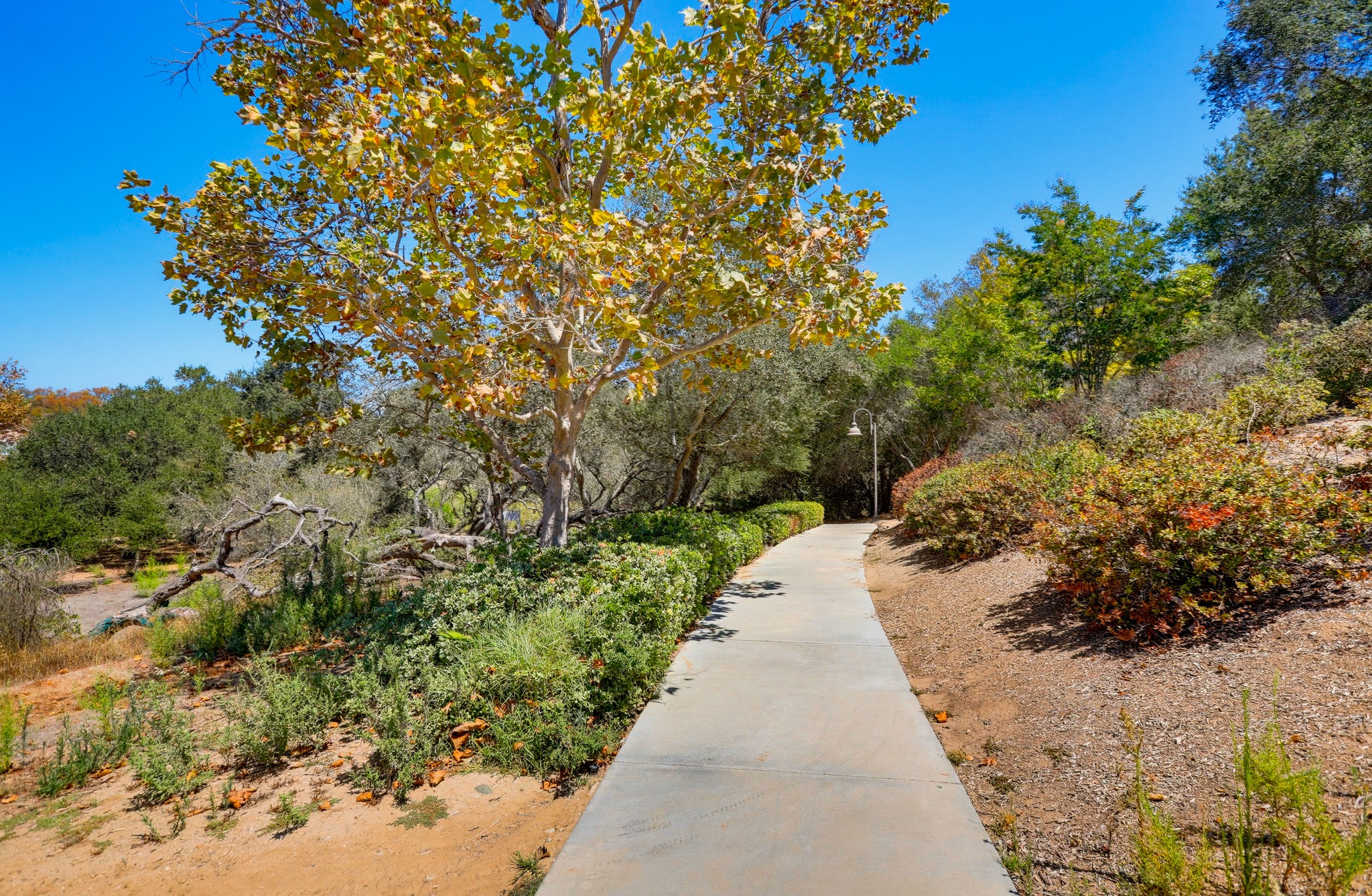Virtual tour photo 62 of 61 for 15 Legacy Way
