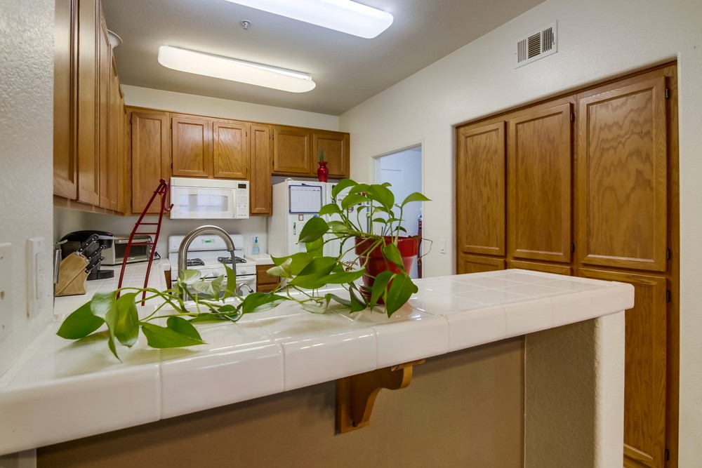 Virtual tour photo 14 of 29 for 1503 Paseo Aurora