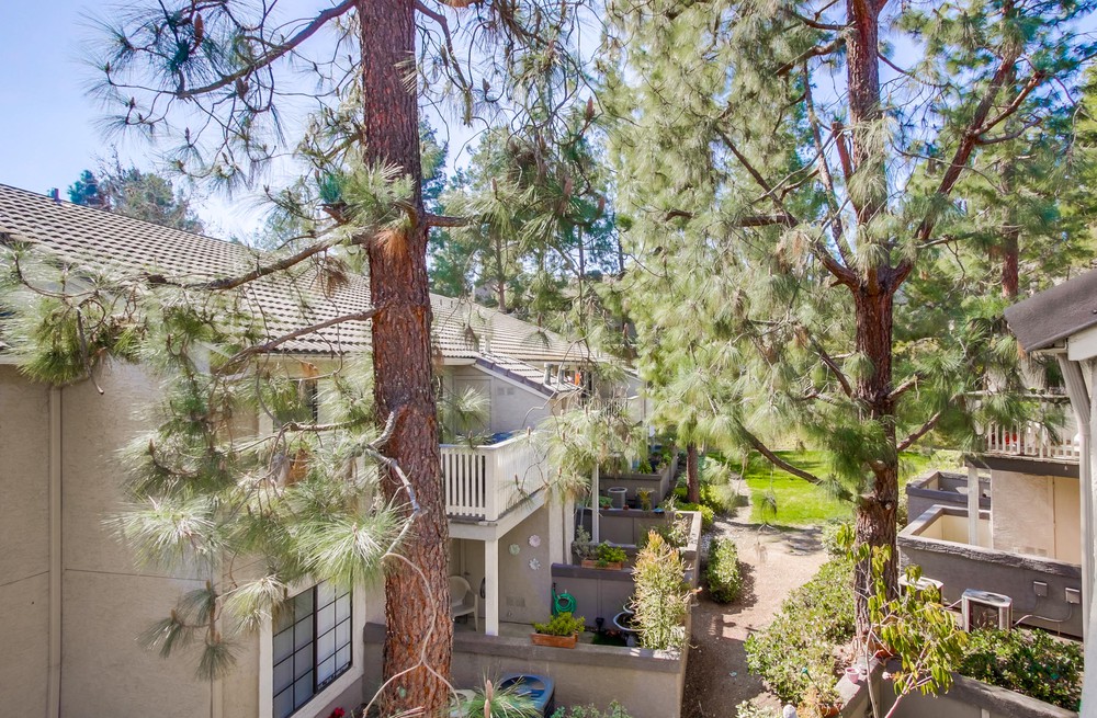 Virtual tour photo 20 of 23 for 15048 Avenida Venusto UNIT 252