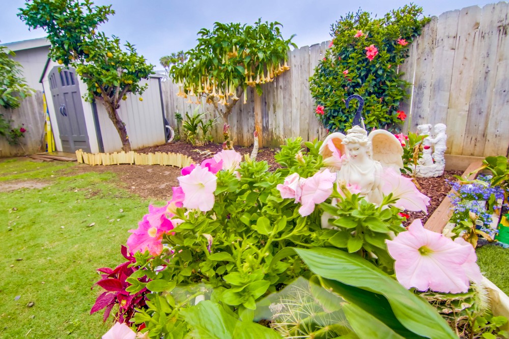 Virtual tour photo 46 of 47 for 1523 Ionian St