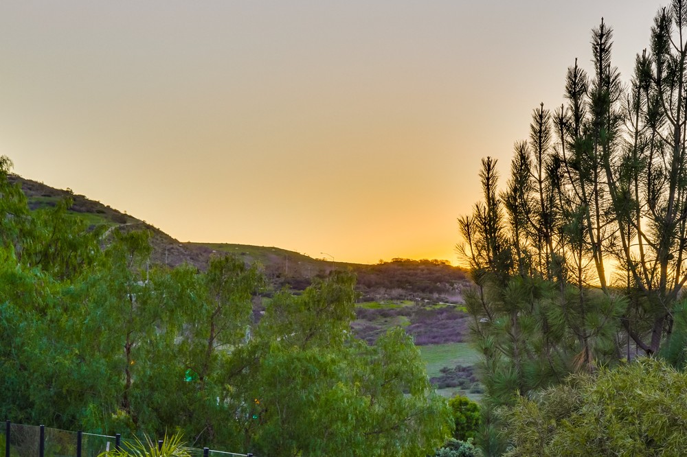 Virtual tour photo 96 of 97 for 15242 Winesprings Court
