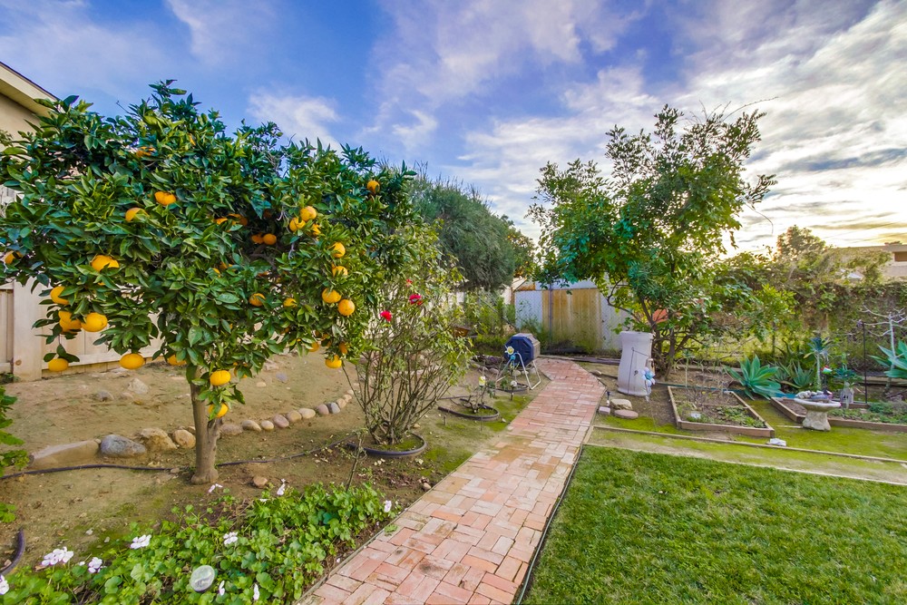 Virtual tour photo 39 of 38 for 1531 Goldfield St