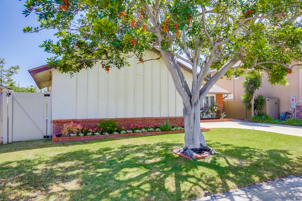 Virtual tour photo 4 of 45 for 15345 Andorra Way