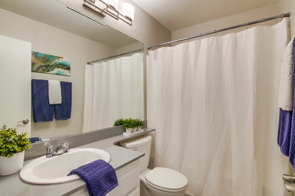 Virtual tour photo 47 of 57 for 1538 Paradise Hills Rd