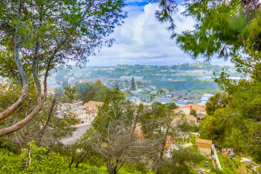 Virtual tour photo 58 of 57 for 1538 Paradise Hills Rd