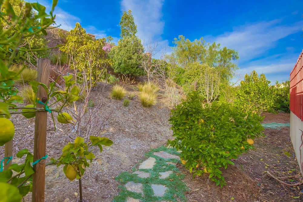 Virtual tour photo 170 of 177 for 15470 Artesian Ridge Rd