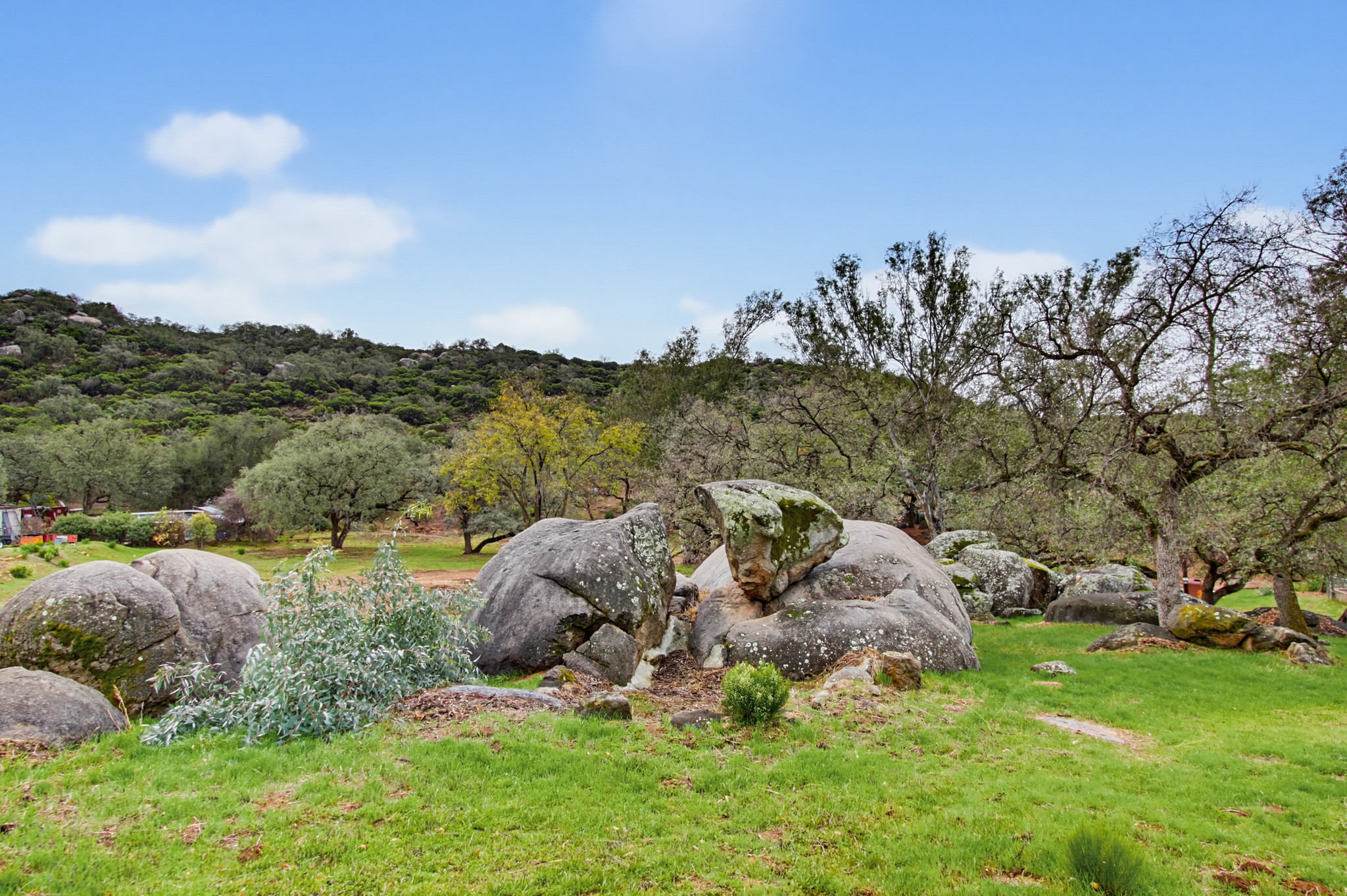 Virtual tour photo 97 of 116 for 1549 Marshall Rd