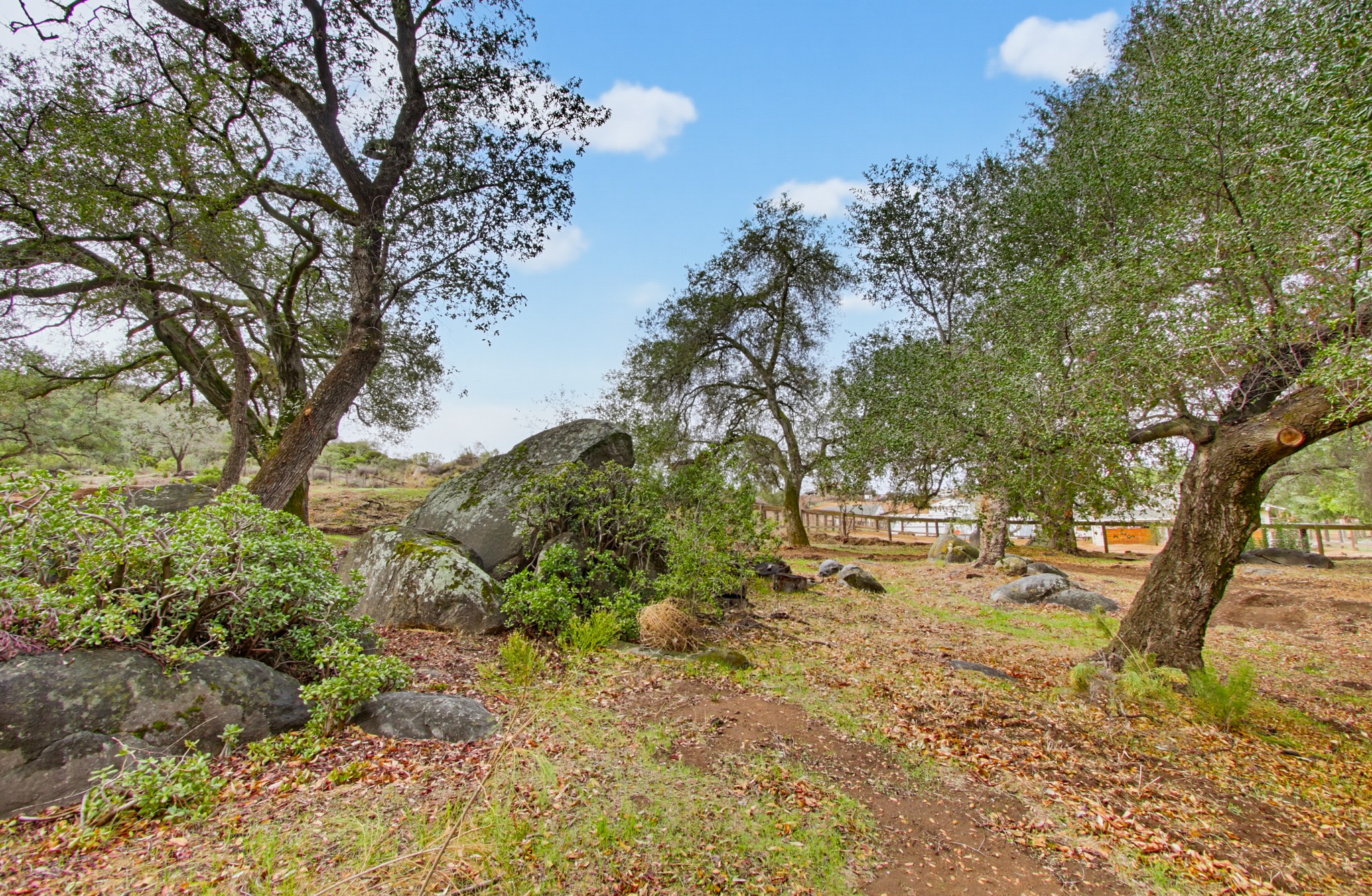 Virtual tour photo 107 of 116 for 1549 Marshall Rd