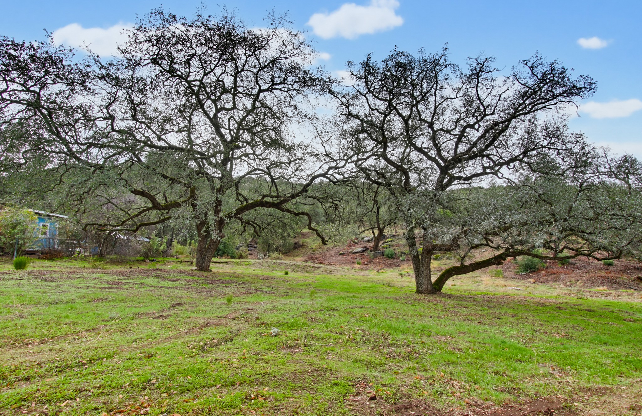 Virtual tour photo 113 of 116 for 1549 Marshall Rd