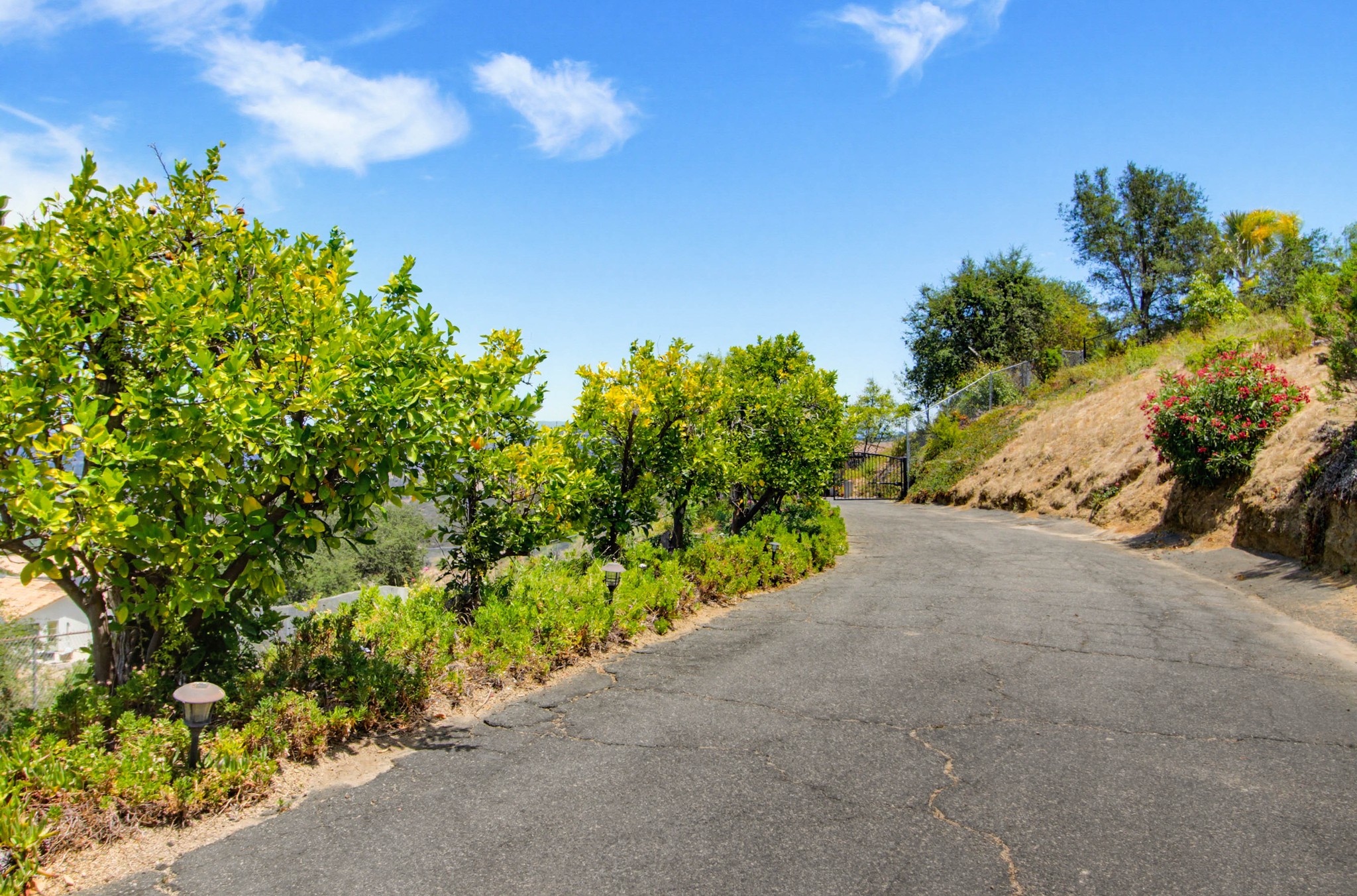 Virtual tour photo 1 of 73 for 1550 Knoll Park Ln