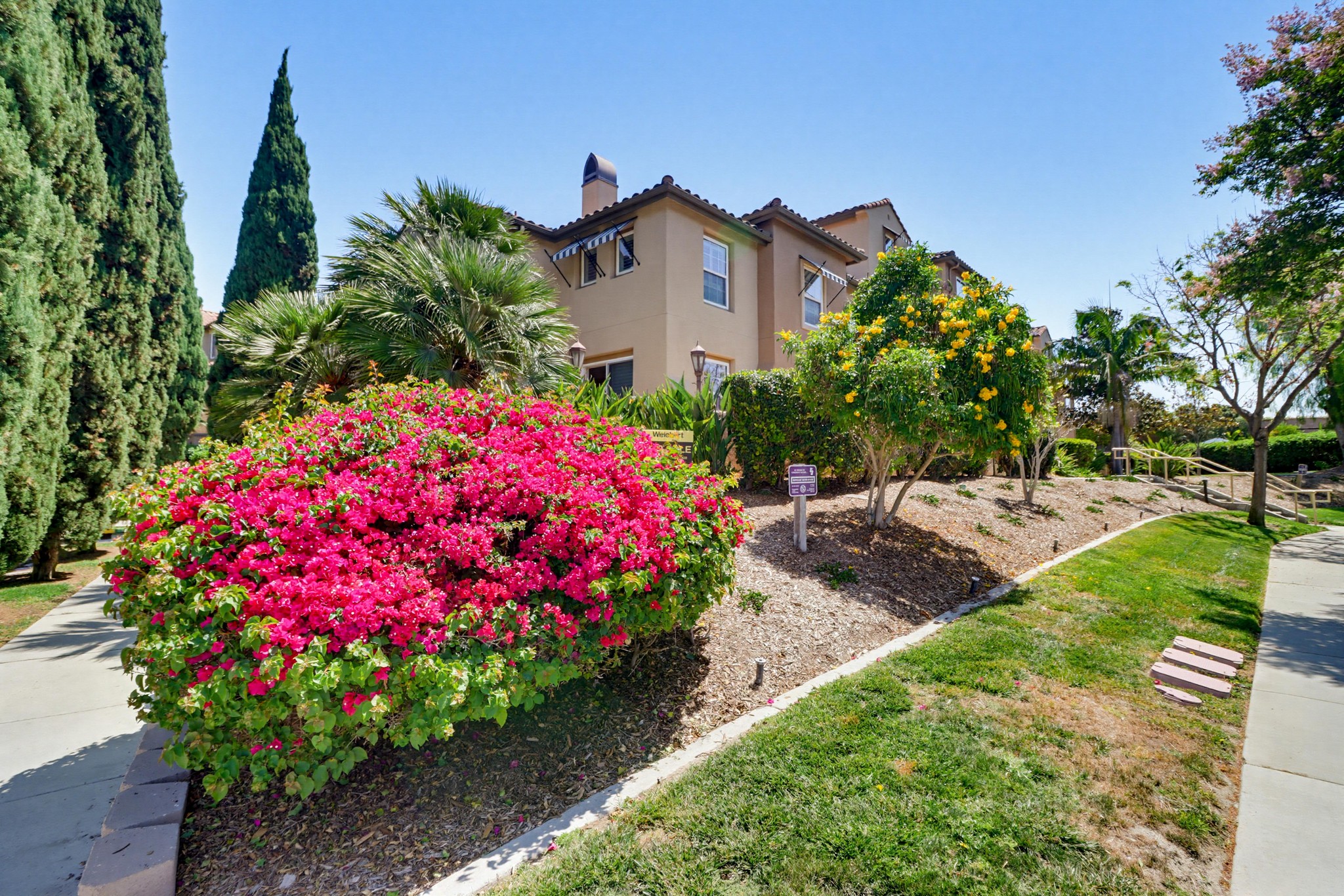 Virtual tour photo 46 of 49 for 1561 Caminito Zaragosa