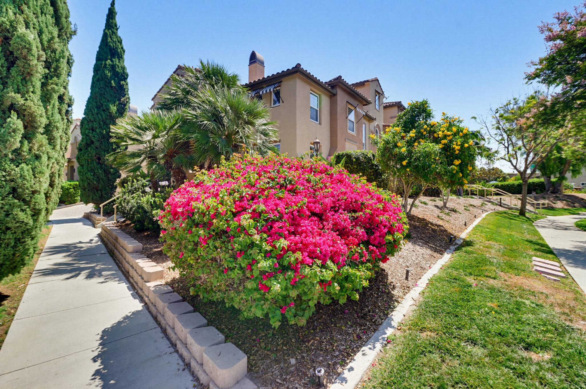 Virtual tour photo 47 of 49 for 1561 Caminito Zaragosa