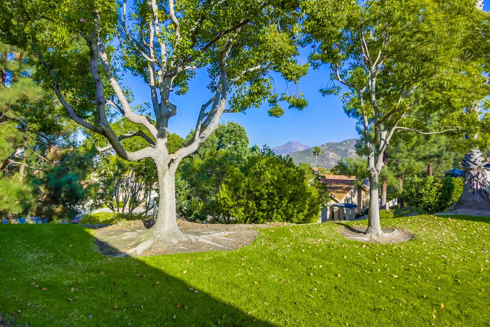 Virtual tour photo 37 of 39 for 15673 Via Calanova