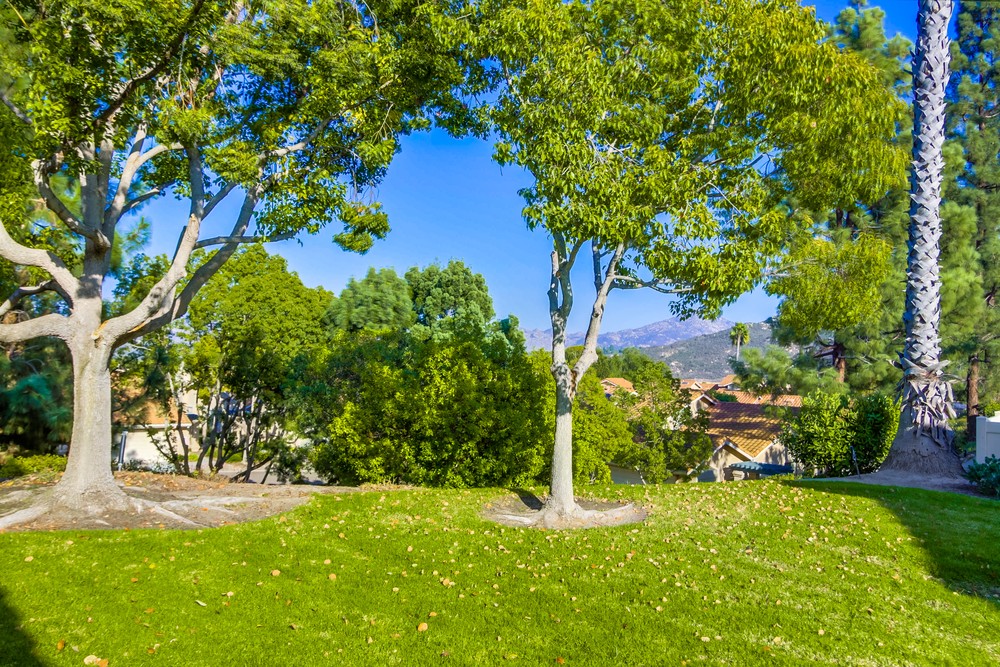 Virtual tour photo 38 of 39 for 15673 Via Calanova