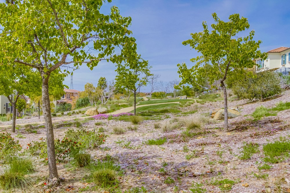 Virtual tour photo 42 of 41 for 15838 Potomac Ridge Rd